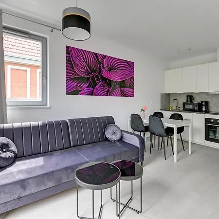 Apartment Comfort Torunska