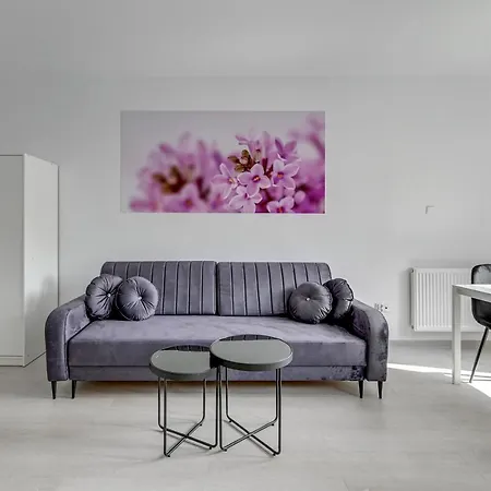 Comfort Torunska