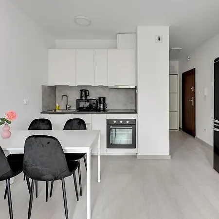 Apartment Comfort Torunska *