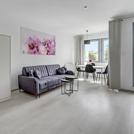 Apartment Comfort Torunska *