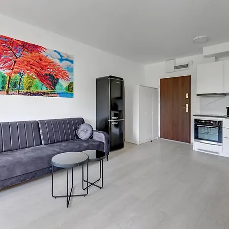 Apartment Comfort Torunska
